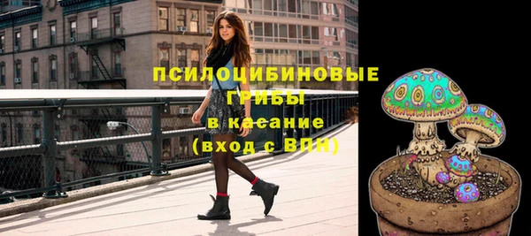 прущие крисы Богданович