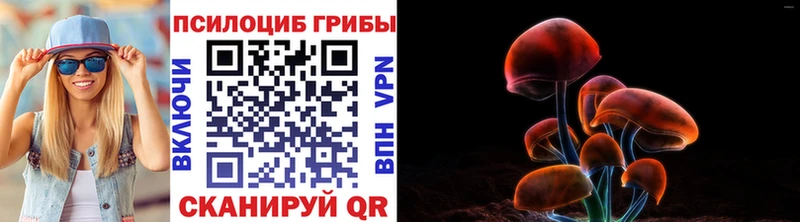 где можно купить наркотик  kraken онион  Псилоцибиновые грибы Psilocybine cubensis  Малаховка 