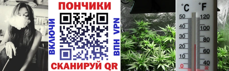 наркотики  Малаховка  Марихуана Amnesia 